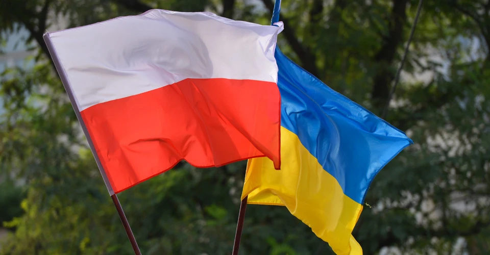 Польский депутат Януш Ковальский призвал начать массовый возврат украинцев домой