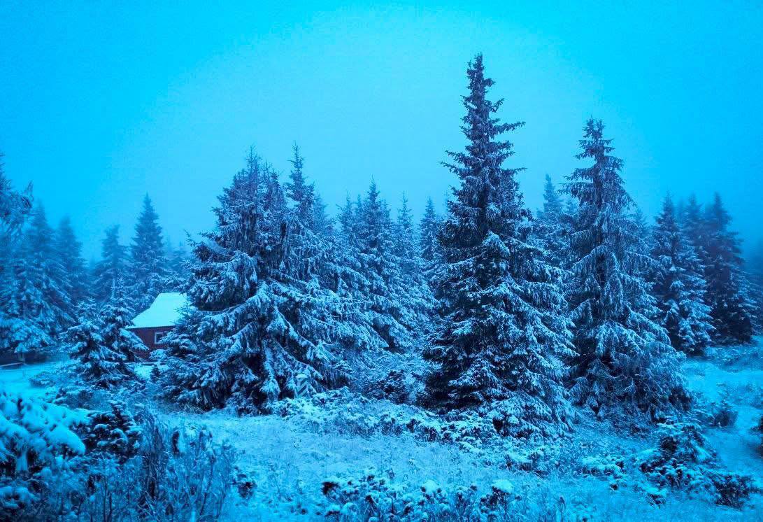 Карпаты засыпало снегом: на горе Поп Иван -5°, спасатели помогли четырем туристам (ФОТО)