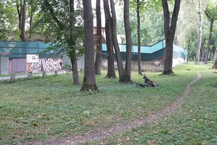 Семью Круп обязали снести забор в парке Хмельницкого: захвачено более 2 тыс. кв. м земли