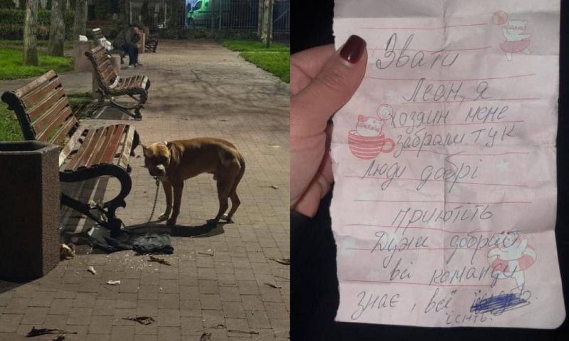 "Меня забрали в ТЦК": в Кременчуге спасли собаку, оставленную в парке